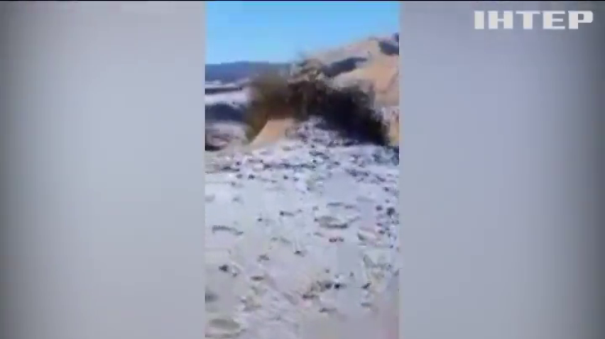 Сніг дістався найспекотнішої пустелі світу