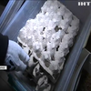 Сімсот кажанів знайшли в Дніпрі під час ремонтних робіт
