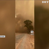Понад 60 тисяч гектарів лісу вигоріли внаслідок лісових пожеж в Австралії