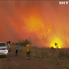 Пожежа знищила близько восьмисот тисяч гектарів лісу в Аргентині
