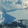 Екосистема Антарктиди опинилася під загрозою