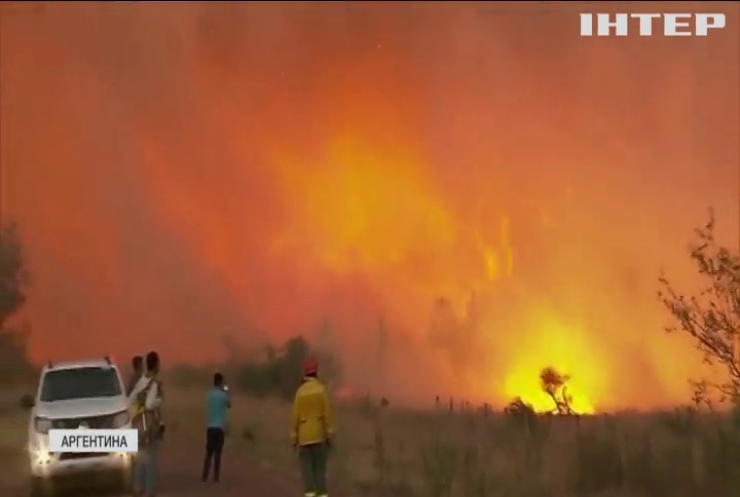 Пожежа знищила близько восьмисот тисяч гектарів лісу в Аргентині