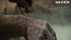 Наслідки української війни відчує світ: дефіцит яких продуктів буде в іноземців