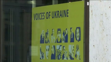 Берлінський інститут Вітольда Пілецького почав документувати воєнні злочини росії в Україні