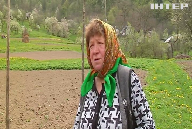 Жителі гірських районів Буковини безупинно працюють на городі, аби забезпечити Україну продовольством
