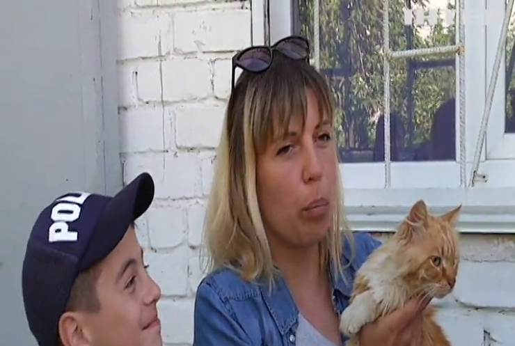 Змучений, але нескорений: у Миколаєві врятували кота