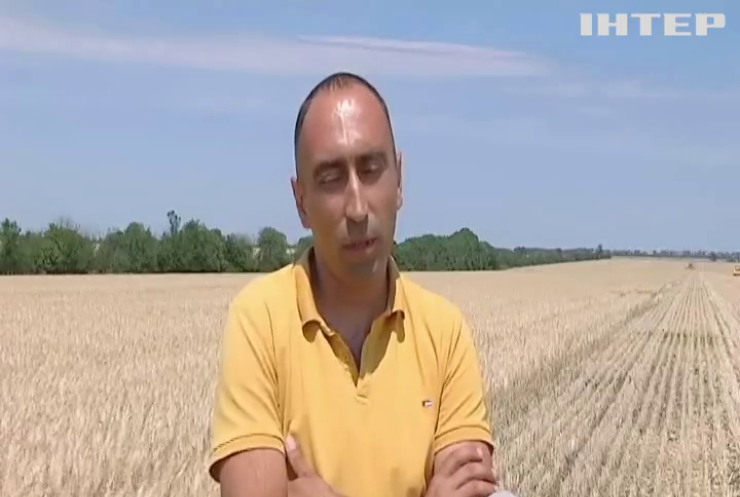 В Україні стартували жнива: першою збирати врожай почала Одещина