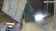 Країни шукають можливості розблокувати експорт зерна з України: чи є прогрес