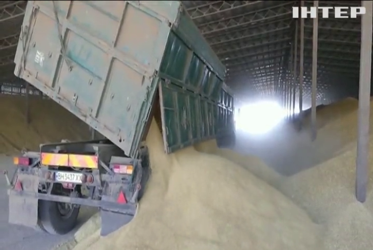 Країни шукають можливості розблокувати експорт зерна з України: чи є прогрес