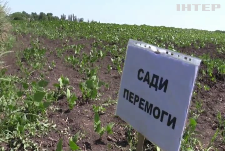 На Черкащині запровадили програму "Сади перемоги": вирощують овочі та фрукти для себе та інших регіонів