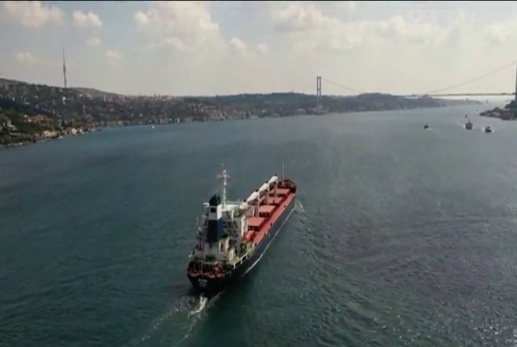Перше судно з українським зерном успішно пройшло перевірку в Туреччині: подробиці 