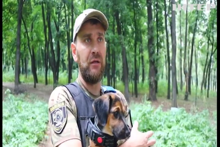 На Донеччині поліцейській побачив на руїнах цуценя і врятував його