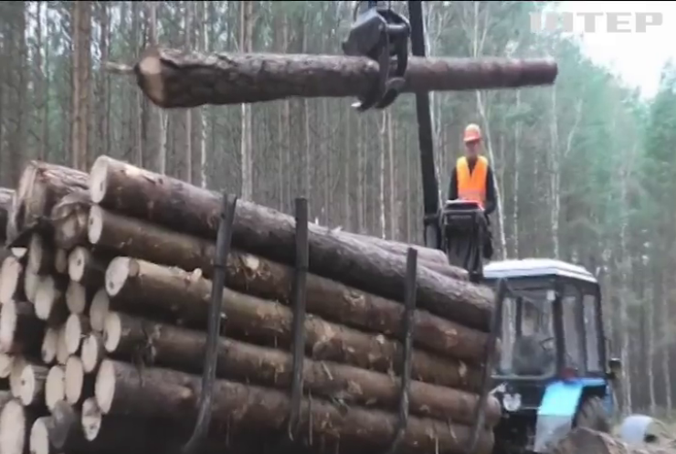 Завдання тилових регіонів - допомогти силам оборони та населенню пережити зиму: як запасаються дровами волиняни