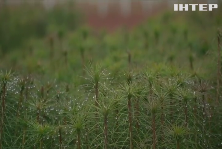 На Хмельниччині придбали інноваційну техніку для масштабної висадки дерев