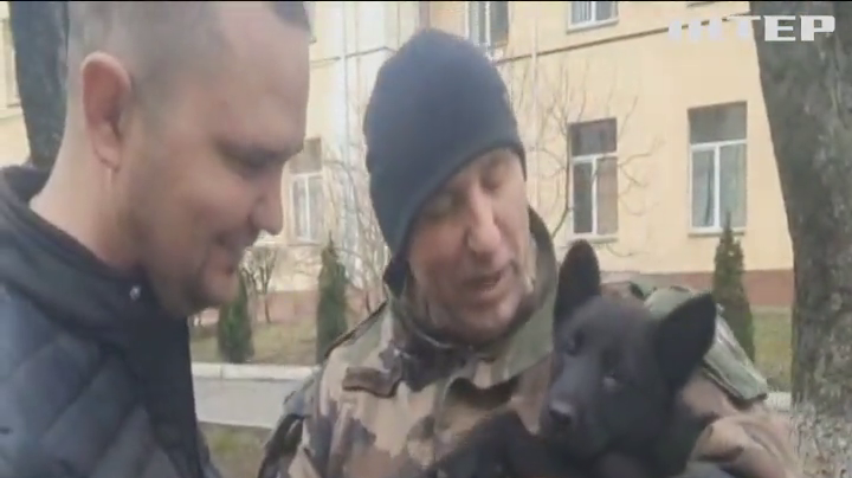 З Бахмута волонтери евакуювали цуценя, що жило з бійцями на передовій: нове життя тварини у сім'ї з Вінниці 