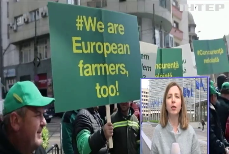 Заборона на імпорт українського зерна: які заходи розглядають в Брюсселі
