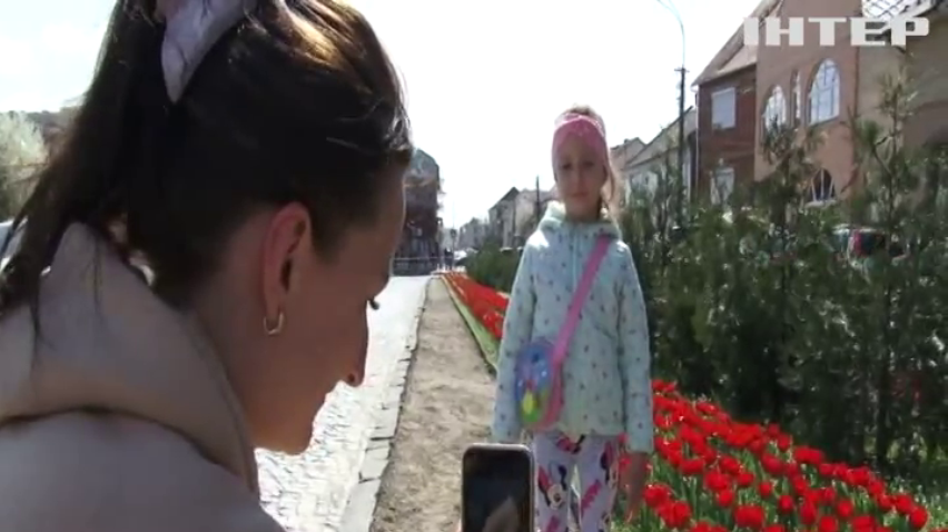 Тюльпанова алея пам'яті Героя України Романа Жука розквітла у закарпатському містечку Мукачеве