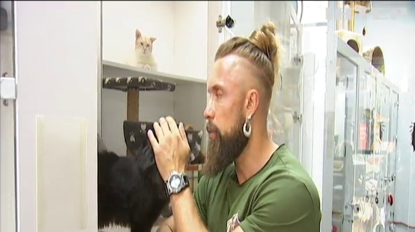 Актор та зоозахисник Олексій Суровцев відкрив готель для котів, що постраждали від бойових дій