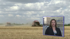 У Бельгії відбулась фіналізація плану дій щодо вирішення зернової кризи 