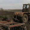 Аграрии Крыма, Одесской и Херсонской областей начали сев ранних зерновых