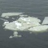 В Запорожской области водолазы ищут в реке тело 5-летнего ребенка