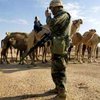 Американские солдаты - о войне в Ираке