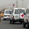"Врачи без границ" приостановили свою деятельность в Ираке