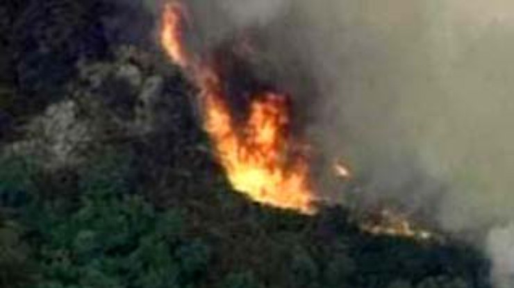 В Киевской и Днепропетровской областях потушены крупные лесные пожары