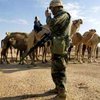 Американцы сворачивают безуспешные поиски ОМУ в Ираке