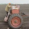 Посевная кампания в Украине практически завершена