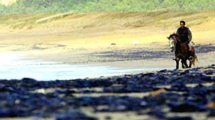 В Галисии очистили практически все пляжи, пострадавшие от крушения танкера "Престиж"
