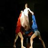 В Киеве начались гастроли "Президентского театра балета Ондрея Шота"