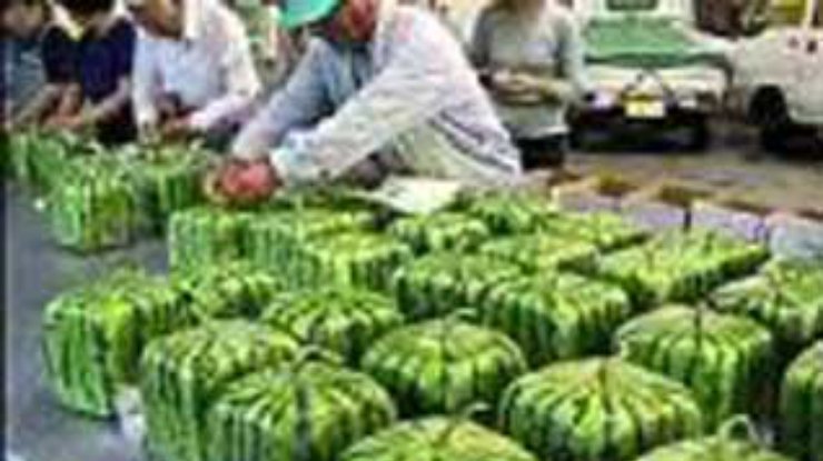 Япония начала экспорт кубических арбузов