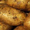 Аграрии уменьшили посевы картофеля на 5%