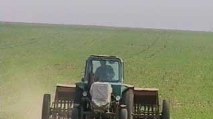 Украина продолжает бороться с саранчой