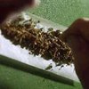Регулярное курение марихуаны ведет к шизофрении