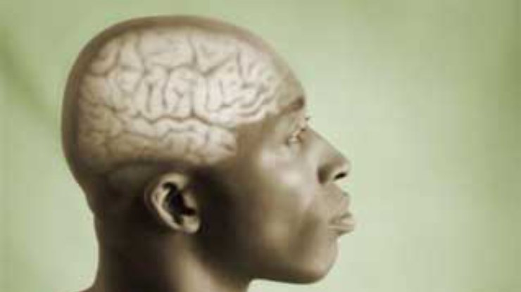 Мозг человека запрограммирован на изучение языка