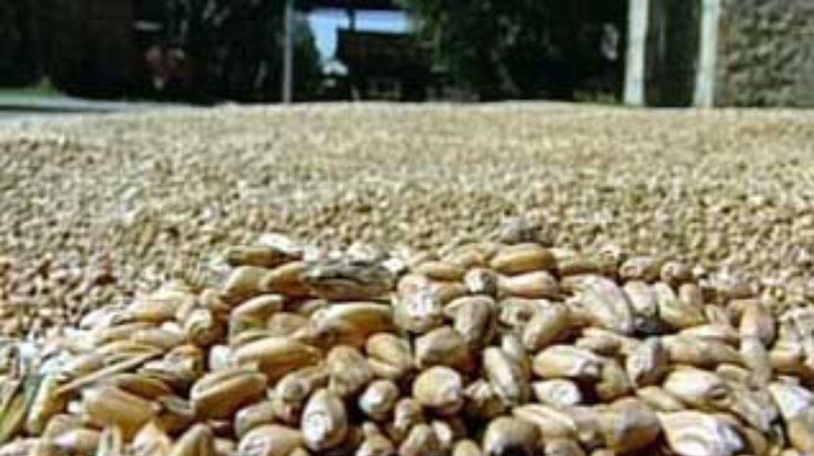 Азаров: запасов зерна хватит на четыре месяца - июль, август, сентябрь и октябрь