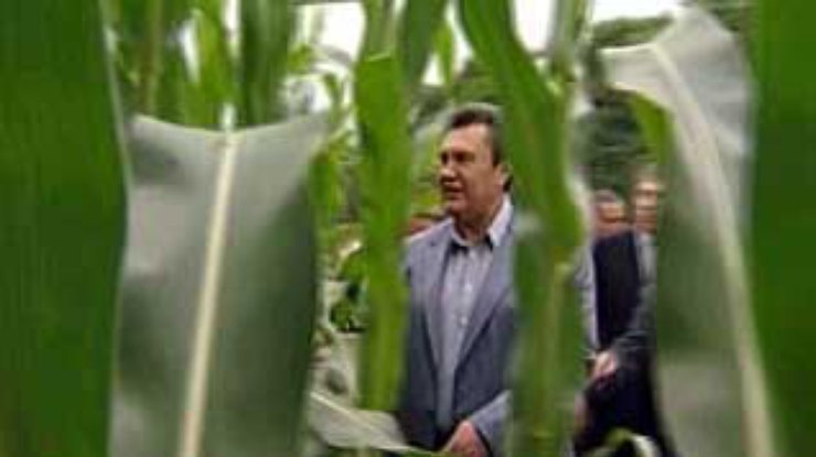 Янукович: в ажиотаже цен виноваты "люди, у которых совести нет"