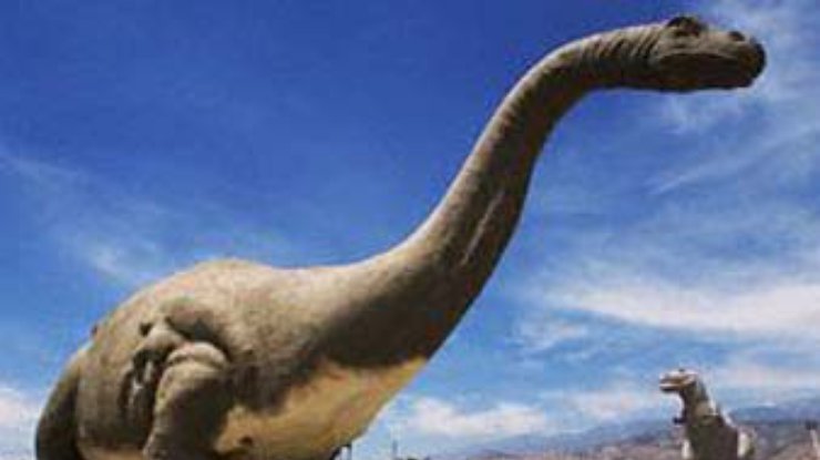 В Амурской области найдены уникальные останки динозавров