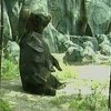 Для медведей Киевского зоопарка построен свой "континент"