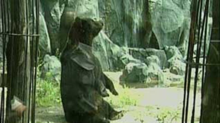 Для медведей Киевского зоопарка построен свой "континент"