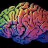 Ученые создали идеальный мозг