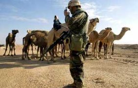 Американцы раскопали в Ираке советские боевые самолеты