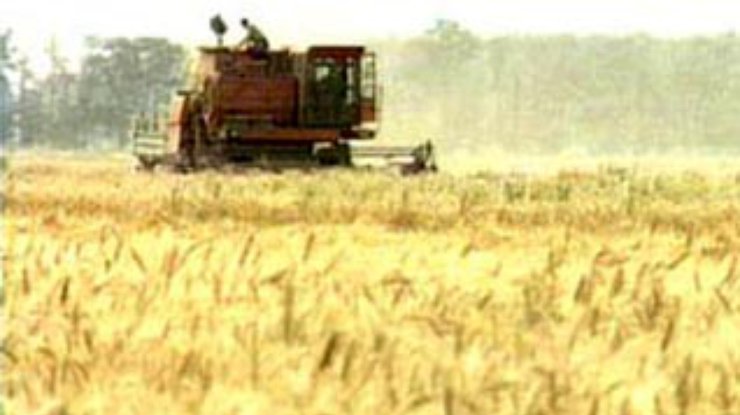 Зерновой кризис как следствие... рекордного урожая