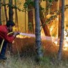 Пожары в Португалии нанесли ущерба, по предварительным оценкам, на 5 миллионов евро