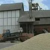 Уборка урожая в Беларуси - дело всенародное