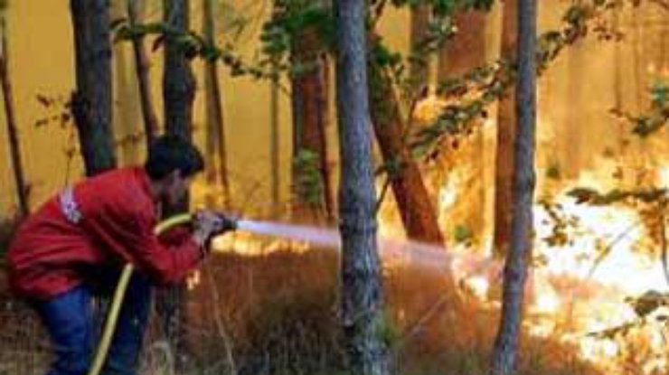 Пожары в Португалии нанесли ущерба, по предварительным оценкам, на 5 миллионов евро