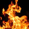 Чукотка в огне: природные пожары бушуют на площади в 350 тысяч гектаров