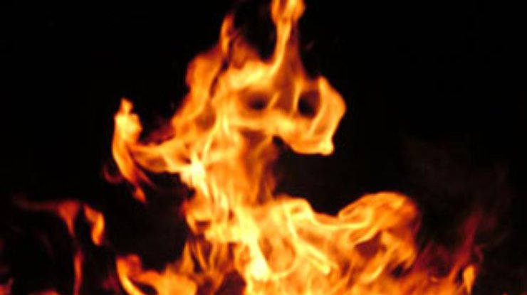Чукотка в огне: природные пожары бушуют на площади в 350 тысяч гектаров